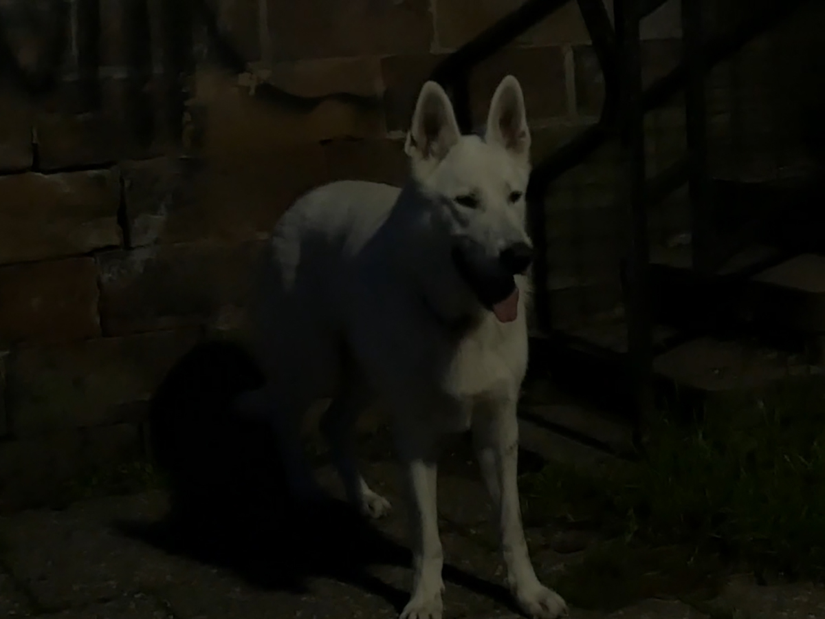 Halte aux bienvenues