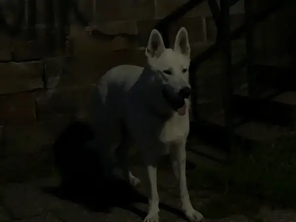 Halte aux bienvenues